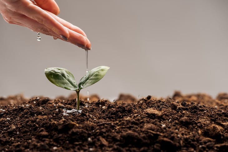 Sviluppo aziendale in una PMI come renderlo efficace e sostenibile nel tempo